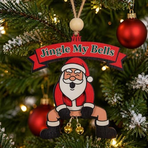 Funny Christmas Ornaments 2025