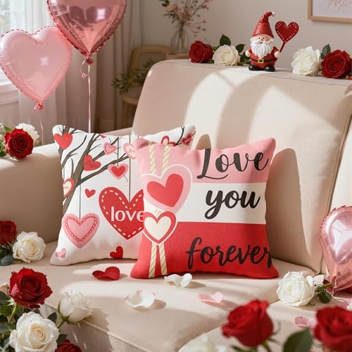 Valentines Day Decorations -Valentine's Pillows Covers 18x1…